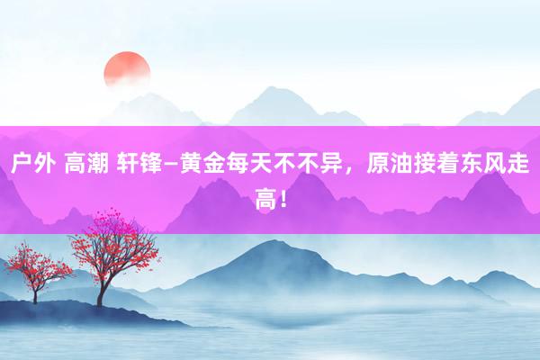 户外 高潮 轩锋—黄金每天不不异，原油接着东风走高！