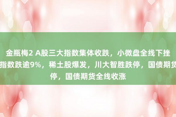 金瓶梅2 A股三大指数集体收跌，小微盘全线下挫，北证50指数跌逾9%，稀土股爆发，川大智胜跌停，国债期货全线收涨