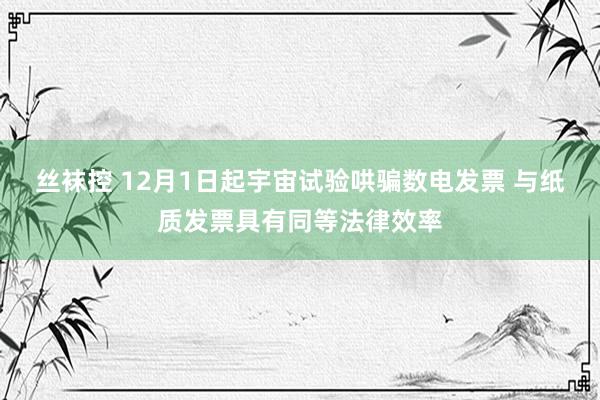 丝袜控 12月1日起宇宙试验哄骗数电发票 与纸质发票具有同等法律效率