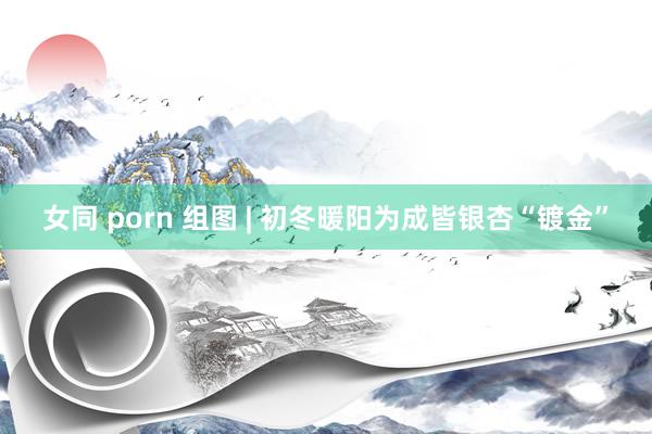 女同 porn 组图 | 初冬暖阳为成皆银杏“镀金”