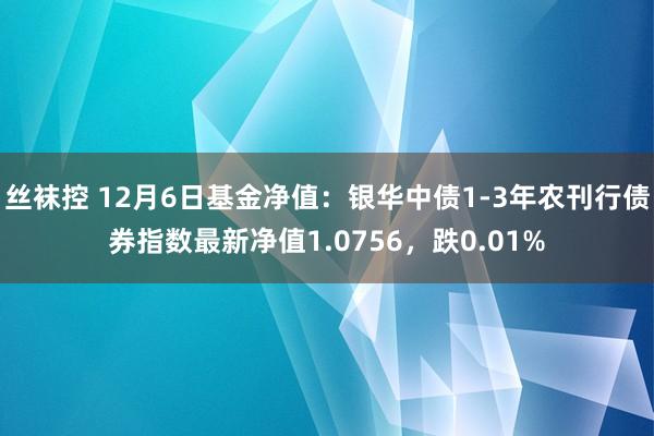 丝袜控 12月6日基金净值：银华中债1-3年农刊行债券指数最新净值1.0756，跌0.01%