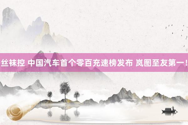丝袜控 中国汽车首个零百充速榜发布 岚图至友第一！