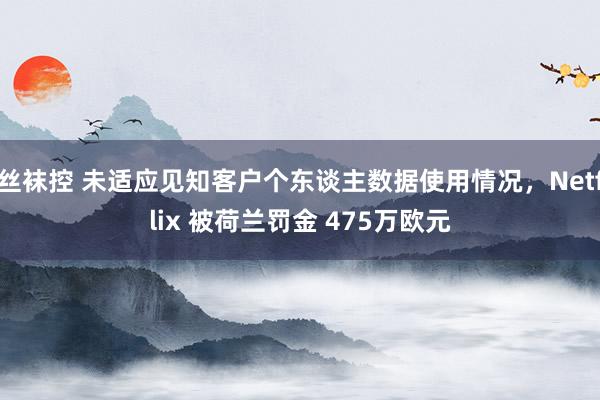 丝袜控 未适应见知客户个东谈主数据使用情况，Netflix 被荷兰罚金 475万欧元
