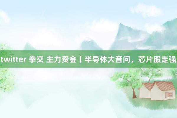 twitter 拳交 主力资金丨半导体大音问，芯片股走强