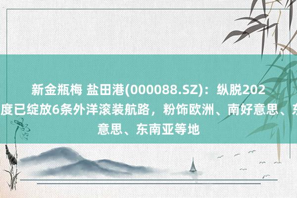 新金瓶梅 盐田港(000088.SZ)：纵脱2024年前三季度已绽放6条外洋滚装航路，粉饰欧洲、南好意思、东南亚等地