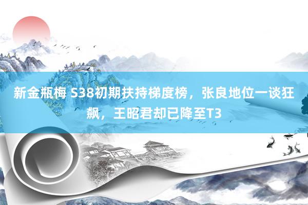 新金瓶梅 S38初期扶持梯度榜，张良地位一谈狂飙，王昭君却已降至T3