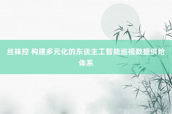 丝袜控 构建多元化的东谈主工智能巡视数据供给体系