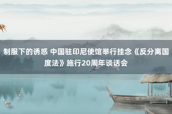制服下的诱惑 中国驻印尼使馆举行挂念《反分离国度法》施行20周年谈话会