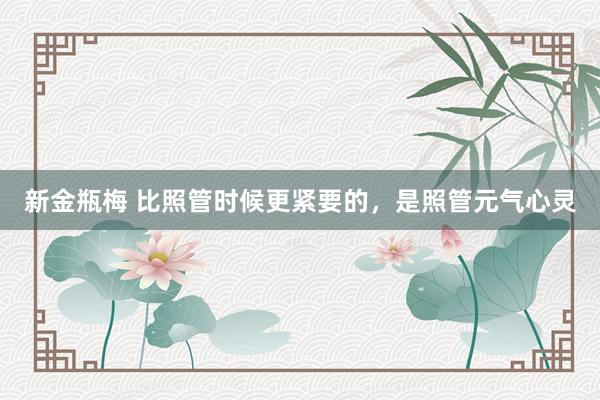 新金瓶梅 比照管时候更紧要的，是照管元气心灵