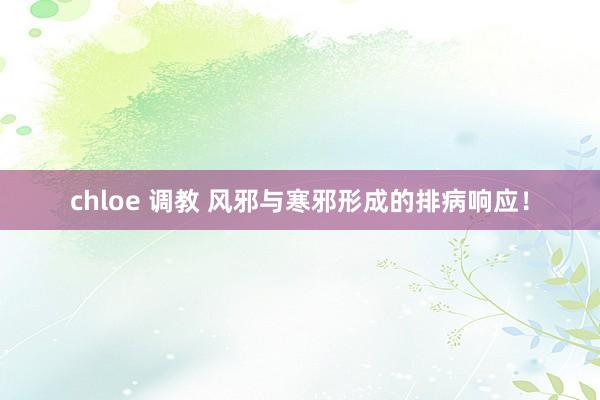 chloe 调教 风邪与寒邪形成的排病响应！