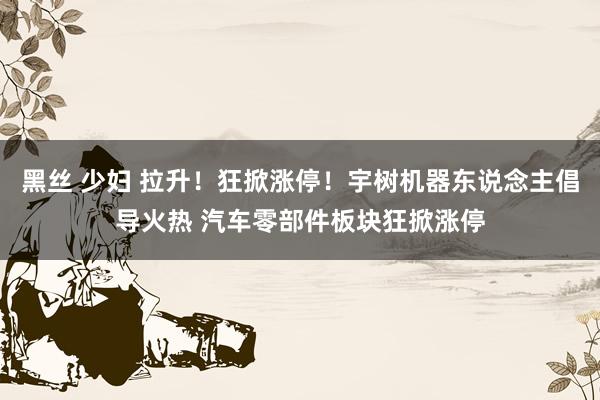 黑丝 少妇 拉升！狂掀涨停！宇树机器东说念主倡导火热 汽车零部件板块狂掀涨停