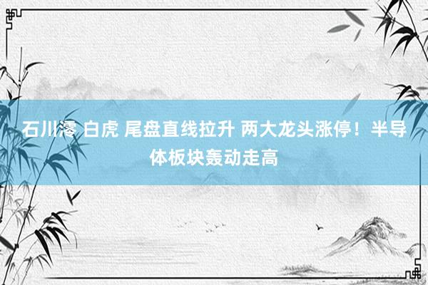 石川澪 白虎 尾盘直线拉升 两大龙头涨停！半导体板块轰动走高