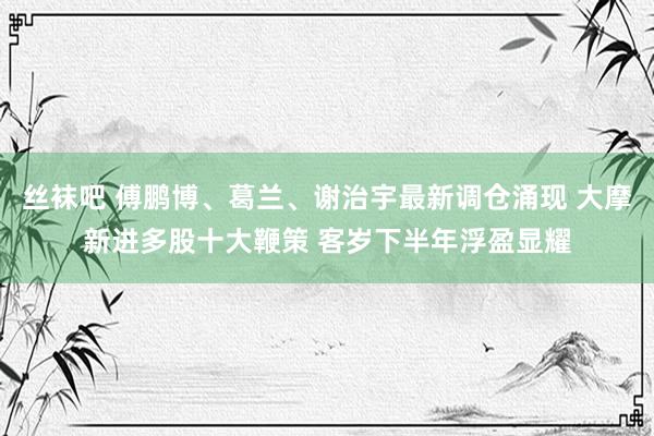 丝袜吧 傅鹏博、葛兰、谢治宇最新调仓涌现 大摩新进多股十大鞭策 客岁下半年浮盈显耀