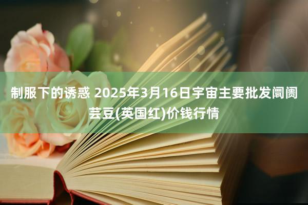 制服下的诱惑 2025年3月16日宇宙主要批发阛阓芸豆(英国红)价钱行情