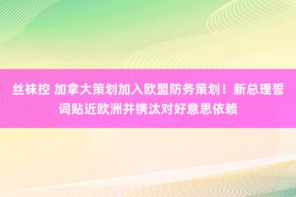丝袜控 加拿大策划加入欧盟防务策划！新总理誓词贴近欧洲并镌汰对好意思依赖