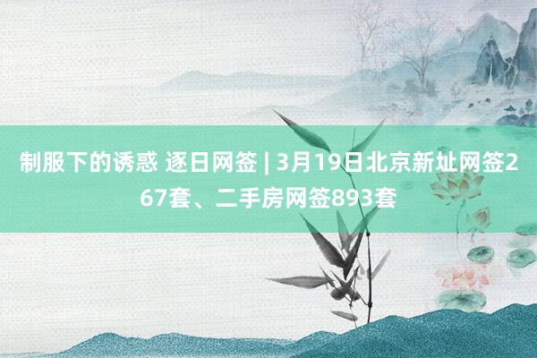 制服下的诱惑 逐日网签 | 3月19日北京新址网签267套、二手房网签893套