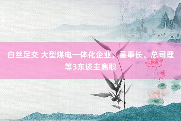 白丝足交 大型煤电一体化企业，董事长、总司理等3东谈主离职