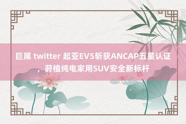 巨屌 twitter 起亚EV5斩获ANCAP五星认证，莳植纯电家用SUV安全新标杆
