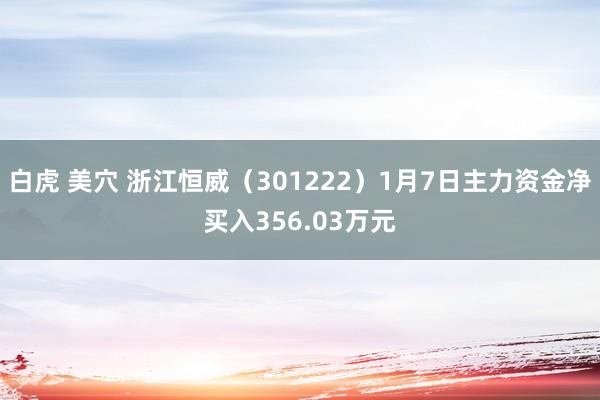 白虎 美穴 浙江恒威（301222）1月7日主力资金净买入356.03万元