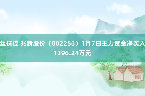 丝袜控 兆新股份（002256）1月7日主力资金净买入1396.24万元
