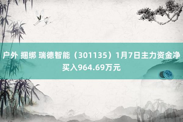 户外 捆绑 瑞德智能（301135）1月7日主力资金净买入964.69万元