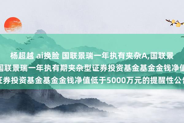 杨超越 ai换脸 国联景瑞一年执有夹杂A,国联景瑞一年执有夹杂C: 对于国联景瑞一年执有期夹杂型证券投资基金基金金钱净值低于5000万元的提醒性公告