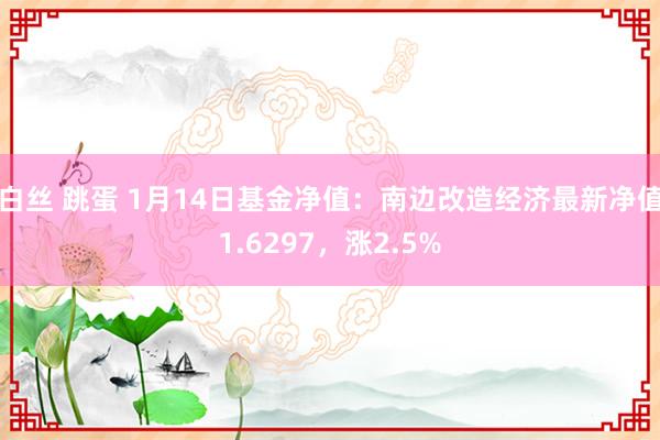 白丝 跳蛋 1月14日基金净值：南边改造经济最新净值1.6297，涨2.5%