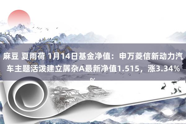 麻豆 夏雨荷 1月14日基金净值：申万菱信新动力汽车主题活泼建立羼杂A最新净值1.515，涨3.34%