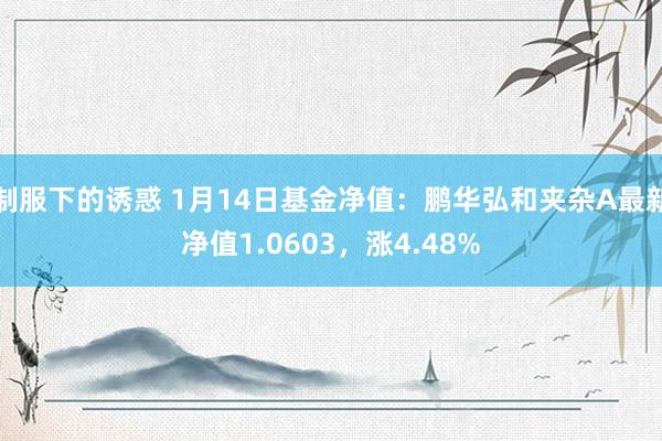 制服下的诱惑 1月14日基金净值：鹏华弘和夹杂A最新净值1.0603，涨4.48%