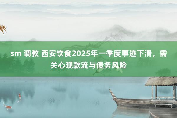 sm 调教 西安饮食2025年一季度事迹下滑，需关心现款流与债务风险