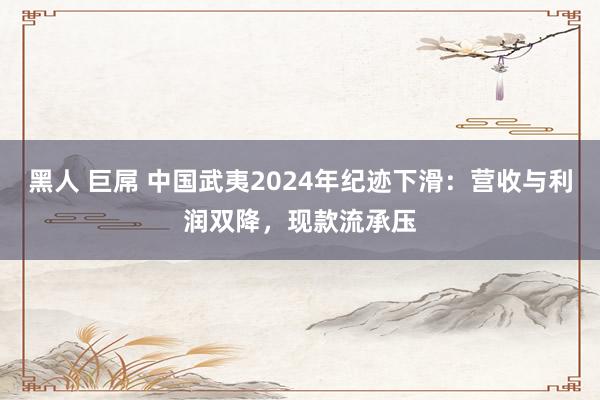 黑人 巨屌 中国武夷2024年纪迹下滑：营收与利润双降，现款流承压