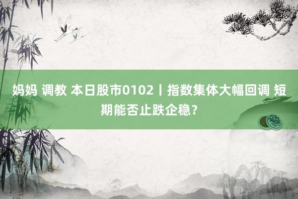 妈妈 调教 本日股市0102丨指数集体大幅回调 短期能否止跌企稳？