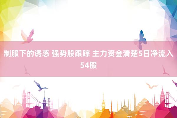 制服下的诱惑 强势股跟踪 主力资金清楚5日净流入54股